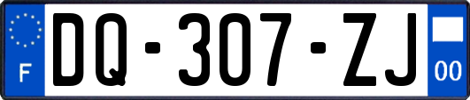 DQ-307-ZJ