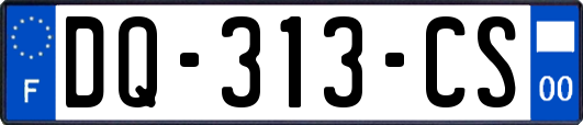 DQ-313-CS