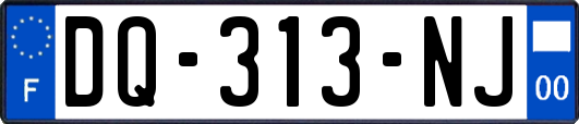 DQ-313-NJ