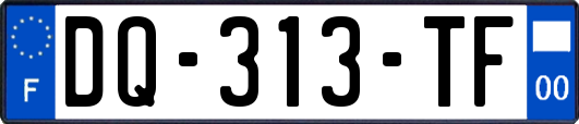 DQ-313-TF