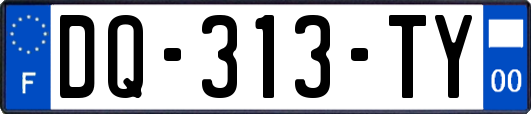 DQ-313-TY