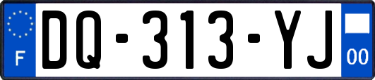 DQ-313-YJ