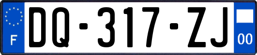 DQ-317-ZJ