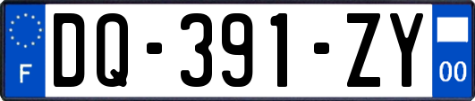 DQ-391-ZY