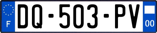 DQ-503-PV