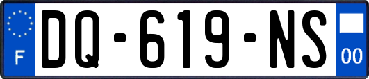 DQ-619-NS