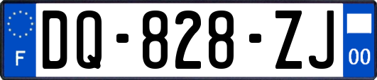 DQ-828-ZJ