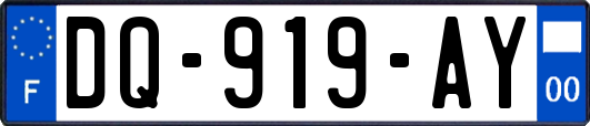 DQ-919-AY