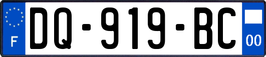 DQ-919-BC