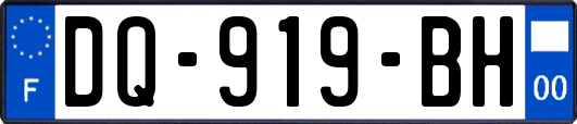 DQ-919-BH