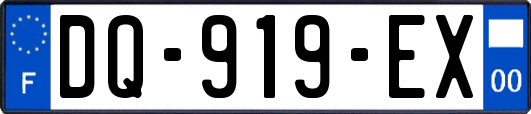 DQ-919-EX