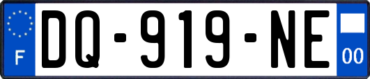 DQ-919-NE