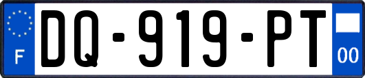 DQ-919-PT