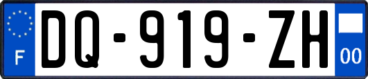 DQ-919-ZH