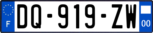 DQ-919-ZW