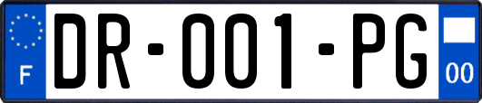 DR-001-PG