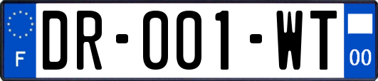 DR-001-WT