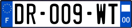 DR-009-WT