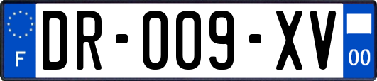 DR-009-XV