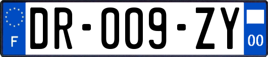 DR-009-ZY