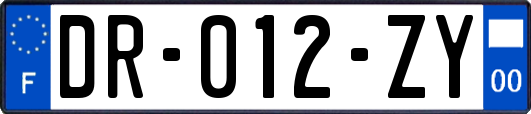 DR-012-ZY