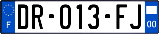DR-013-FJ
