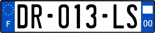 DR-013-LS