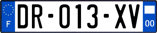 DR-013-XV