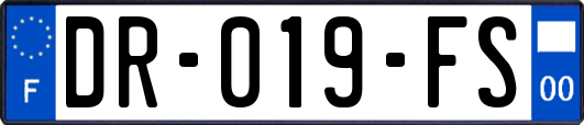 DR-019-FS