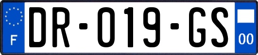 DR-019-GS