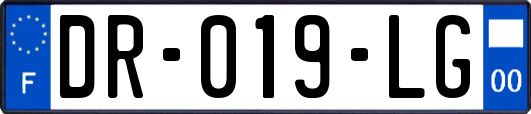 DR-019-LG