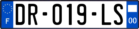 DR-019-LS