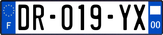 DR-019-YX