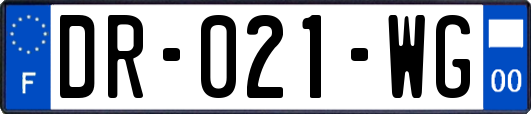 DR-021-WG