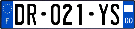 DR-021-YS