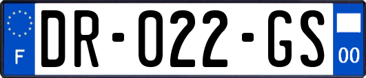 DR-022-GS