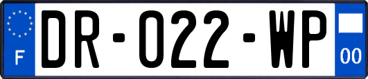 DR-022-WP