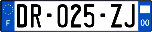 DR-025-ZJ