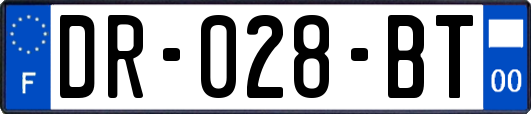 DR-028-BT