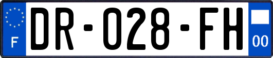 DR-028-FH