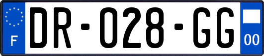 DR-028-GG