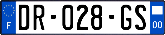 DR-028-GS