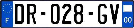 DR-028-GV