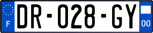 DR-028-GY