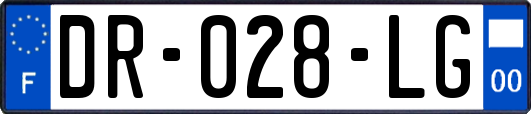 DR-028-LG