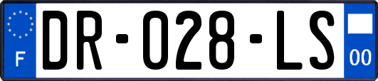 DR-028-LS