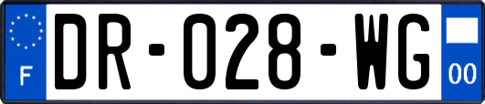 DR-028-WG