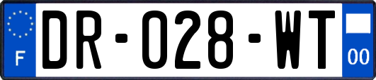 DR-028-WT