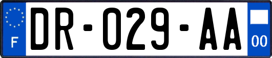 DR-029-AA