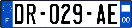 DR-029-AE